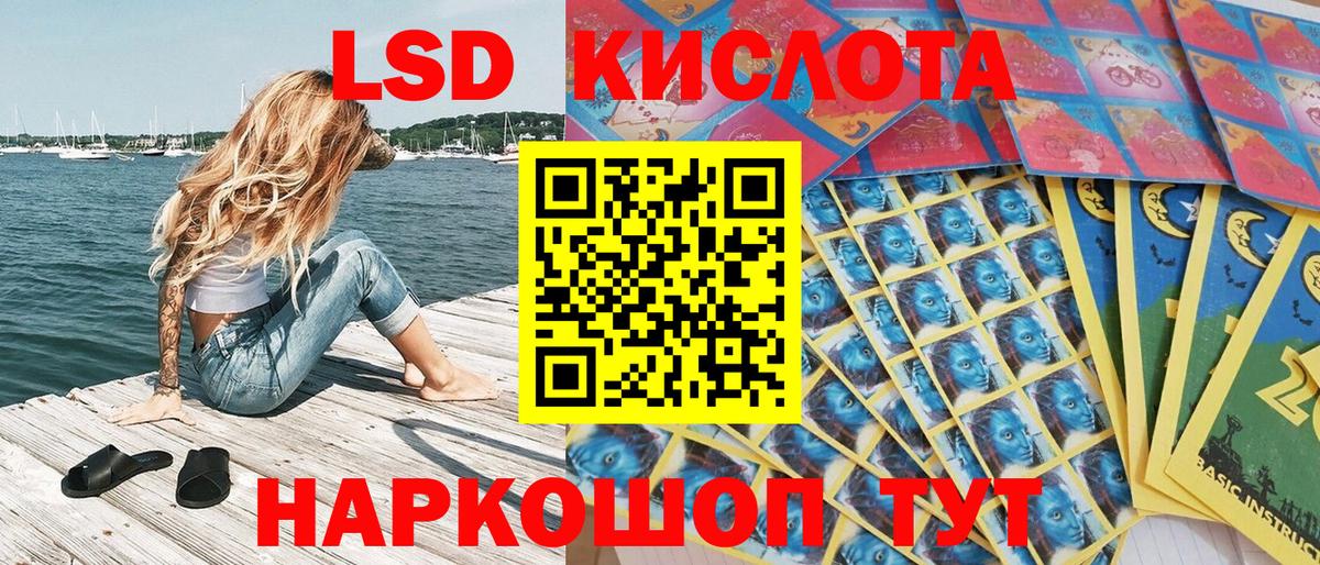 Бошки Шишки Кострома
