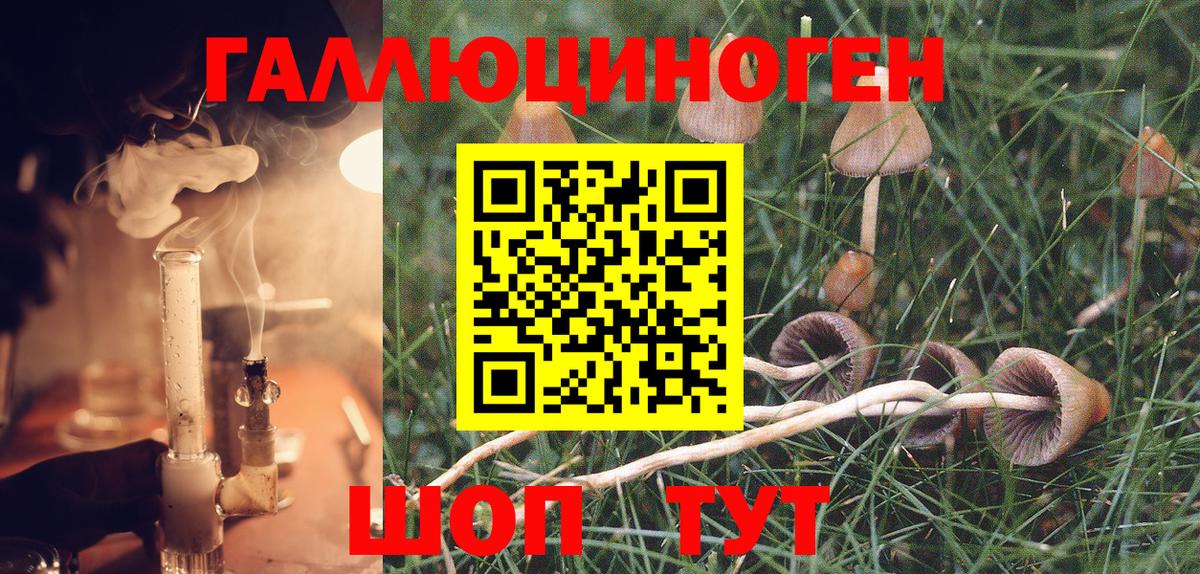 Галлюциногенные грибы Magic Shrooms  Галлюциногенные грибы Psilocybine cubensis  Вход с VPN  Кострома 