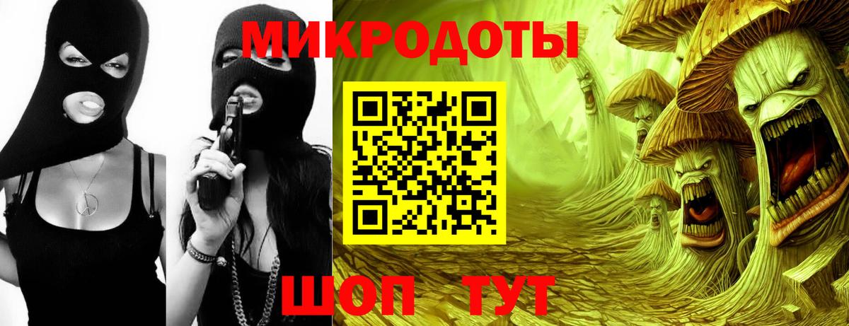 Псилоцибиновые грибы Psilocybine cubensis Кострома